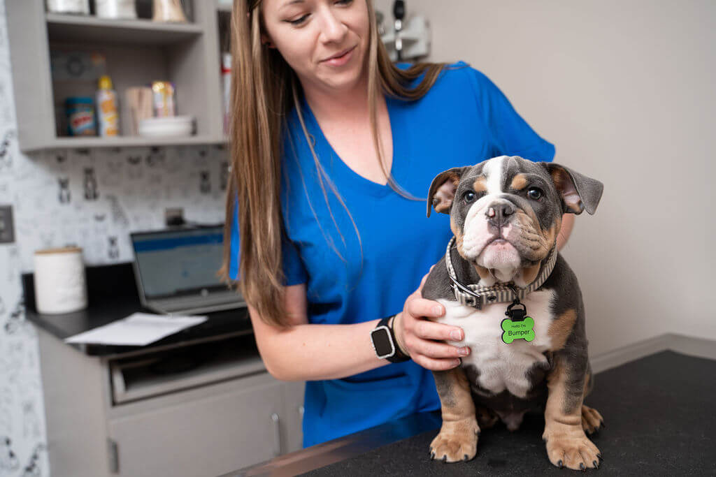 ??Rogers Minnesota Veterinarians