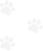 decor image on Rogers Pet Clinic